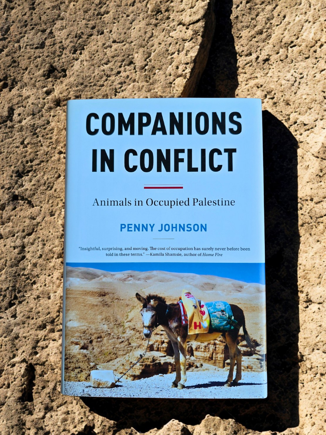 Companions in Conflict